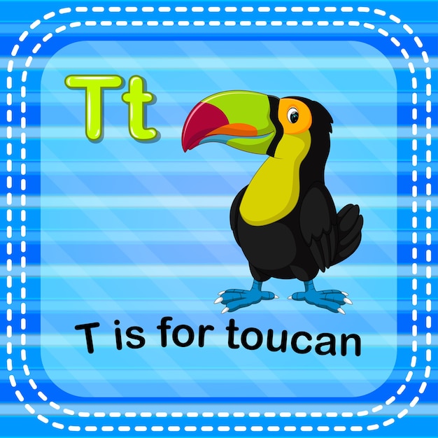 フラッシュカードの手紙tはtoucanのためです