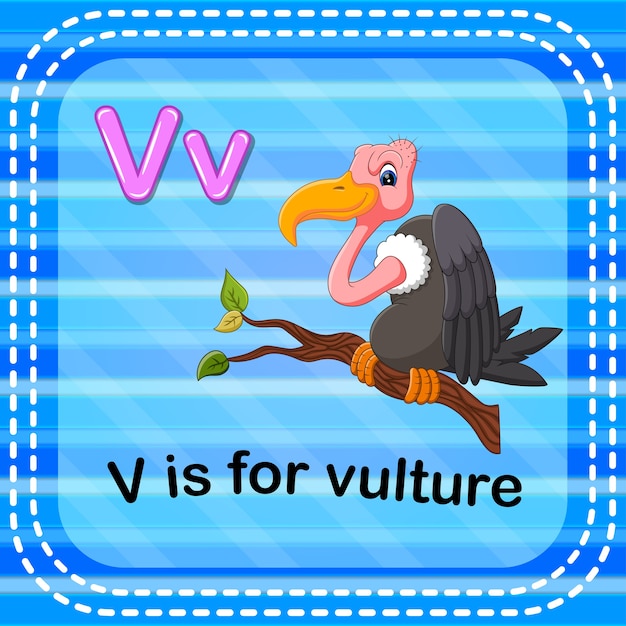 flashcard letter v is for vulture