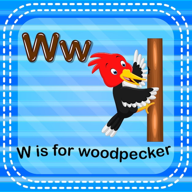 Flashcard letter w is for woodpecker