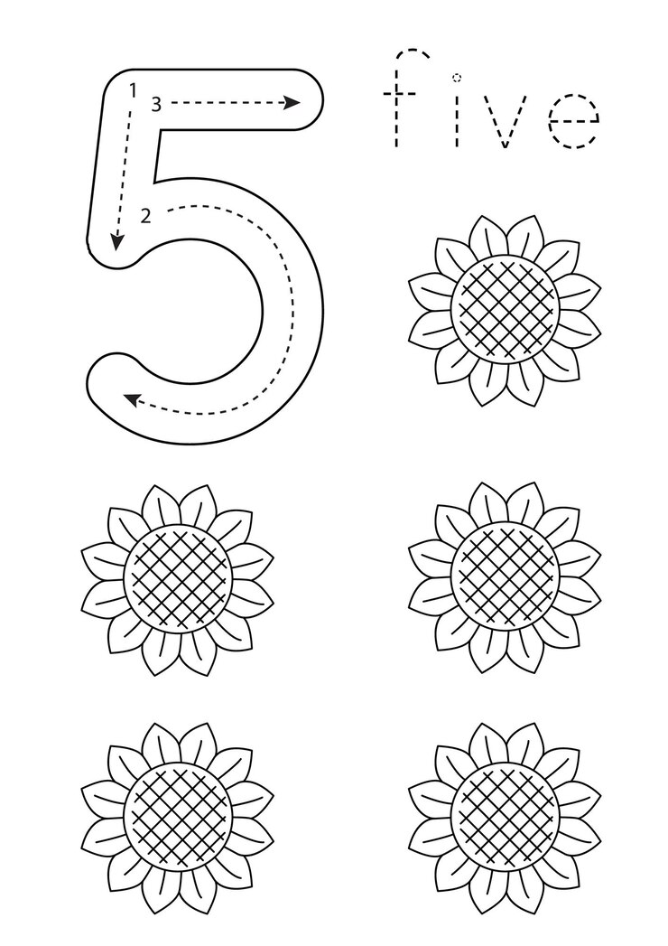 Vector flashcard number 5 preschool worksheet black and white sunflowers