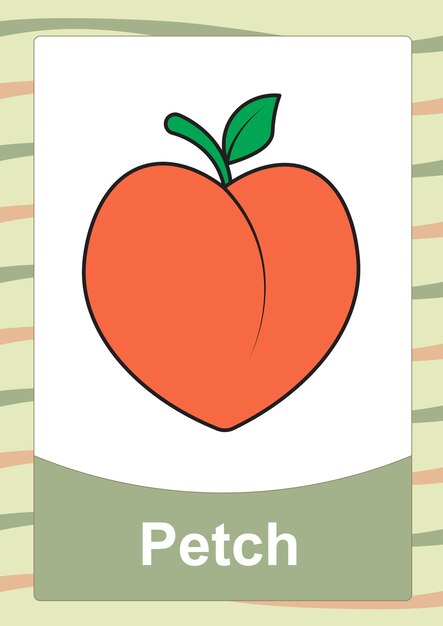 Flashcard Petch