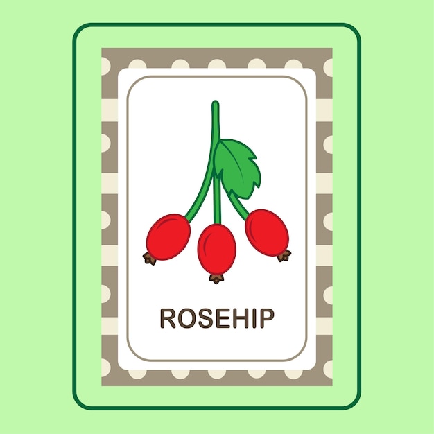 FLASHCARD ROSEHIP