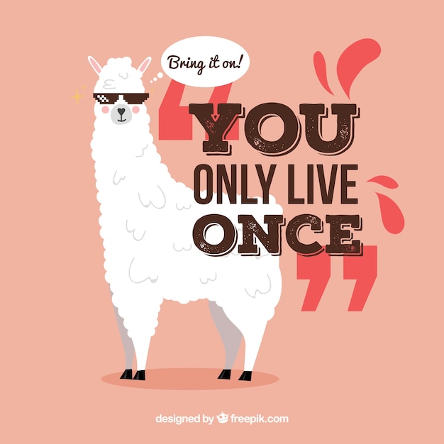 Flat alpaca with quote