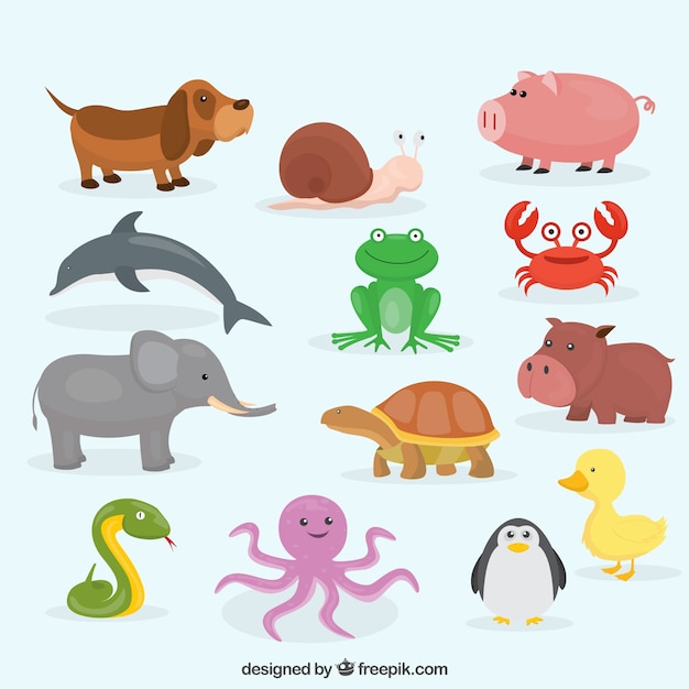 Flat animal collection