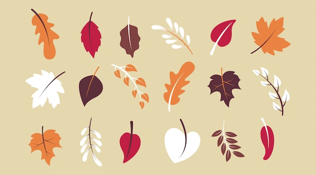 Flat autumn forest leaves collection  