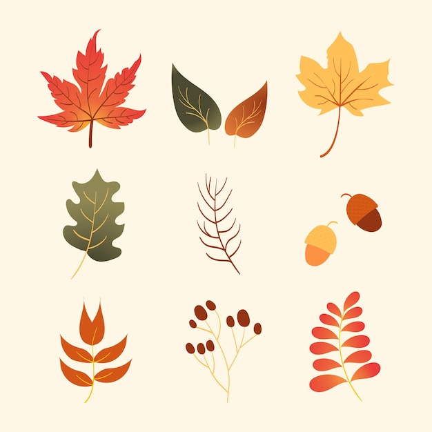 Flat autumn leaves collection set