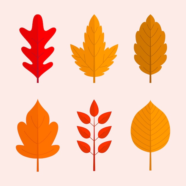 Vector flat autumn leaves collection