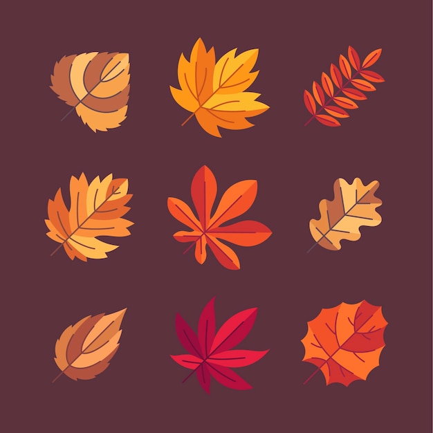 Vector flat autumn leaves collection