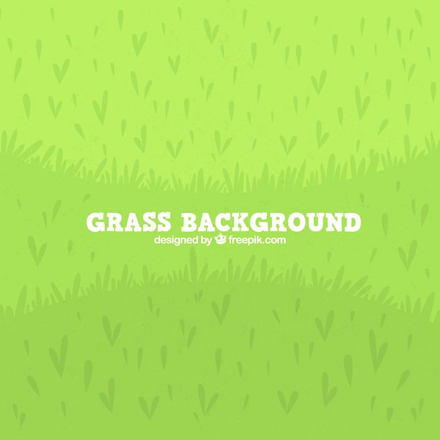 Vector flat background of green grass