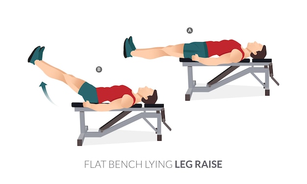 Vector flat bench lying leg raise, men gym workout fitness, aerobic and exercises.