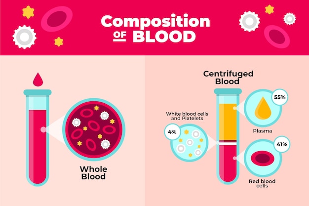 Vector flat blood infographic