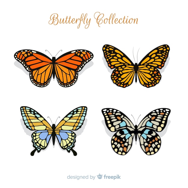 Flat butterfly collection