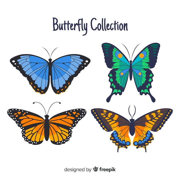 Collezione di farfalle piatte