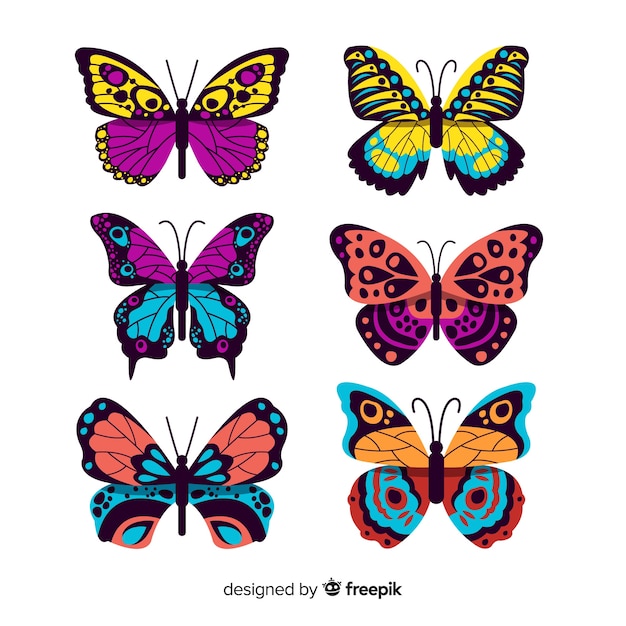 Vector flat butterfly collection