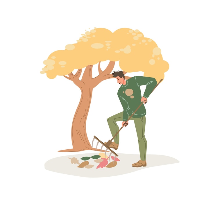 Vector flat cartoon character in autumn season outdoor removes fall leaves with rake
