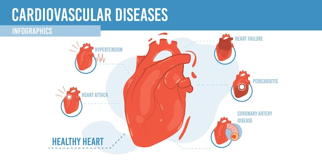 Vector flat cartoon infographic,healthy heart