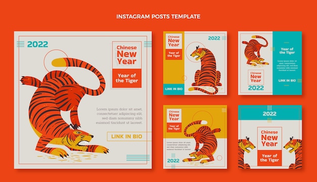 Vector flat chinese new year instagram posts collection