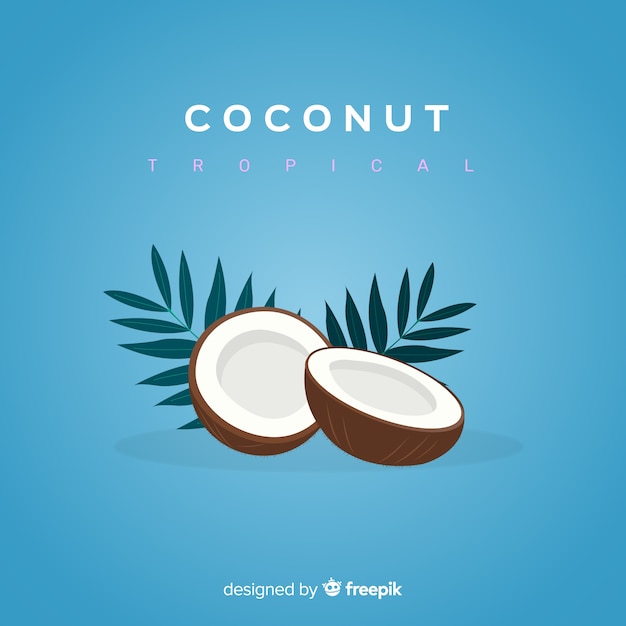 Flat coconut illustration