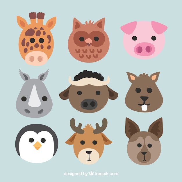 Vector flat collection of cute animal faces