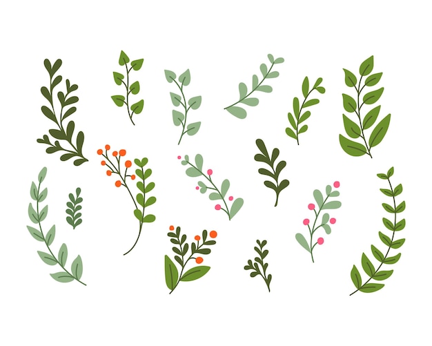 Vector flat colored hand drawn doodle spring branches