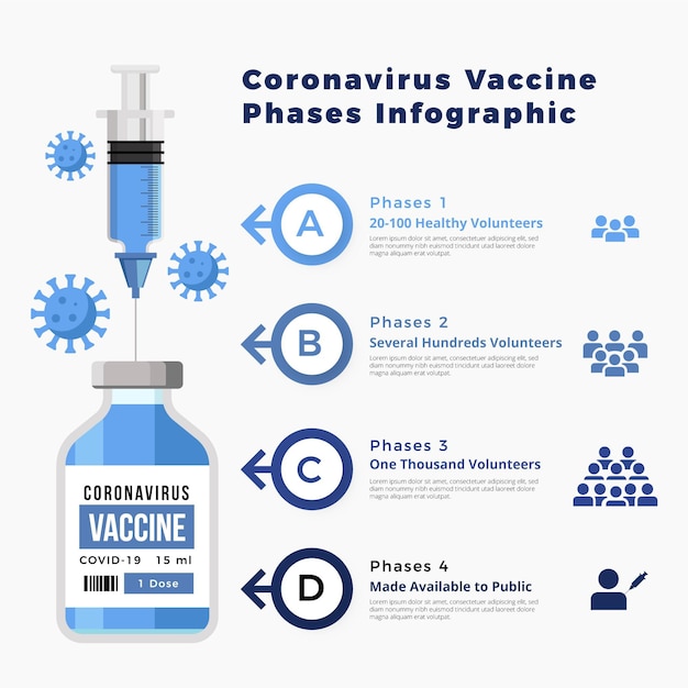 Vettore infografica sulle fasi del vaccino contro il coronavirus piatto