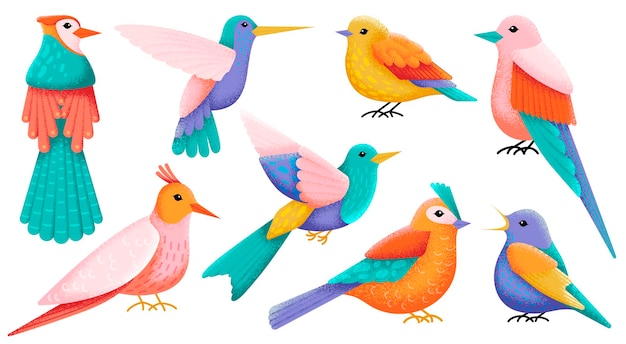 Flat decorative birds Exotic bird folk colorful animals Isolated flying hummingbird Modern art textured wild forest elements Swanky woodland vector characters