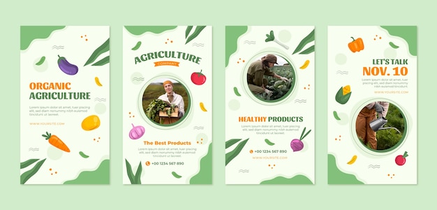 Storie di instagram di aziende agricole di design piatto