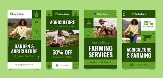 Flat design agriculture company instagram stories