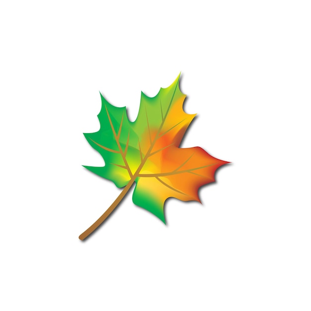 flat design autumn leaves collection