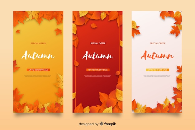 Vector flat design autumn sale banners collection