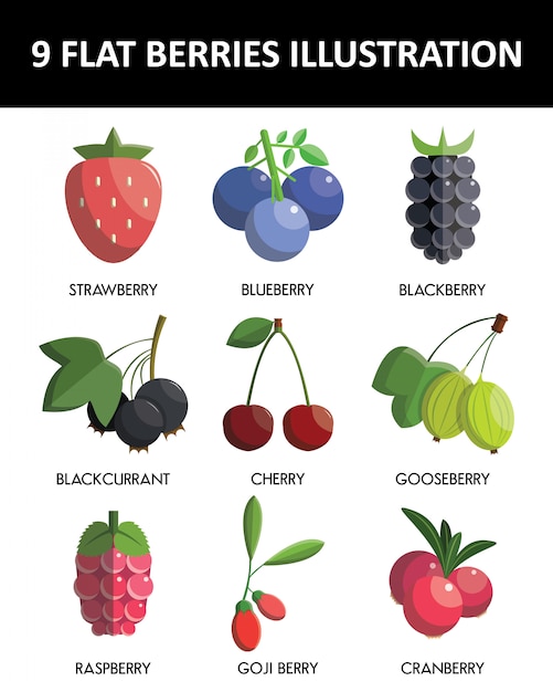 Vector flat design berries icon set