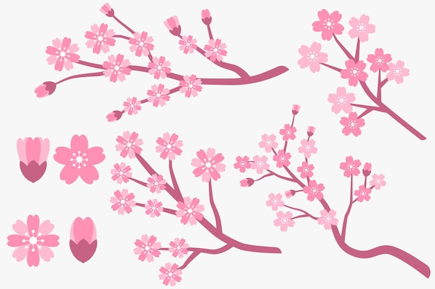 Vector flat design cherry blossom sakura branches and flowers collection
