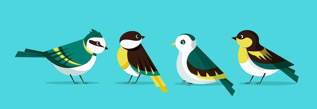 Vector flat design different robin collection