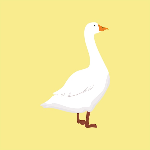 Premium Vector | Flat design duck