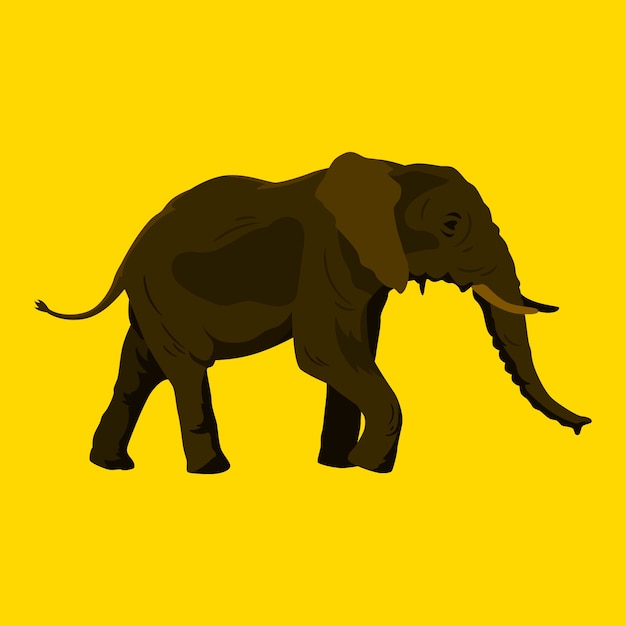 Vector flat design elephant illustration