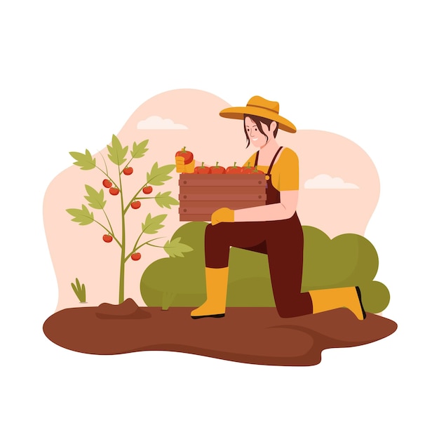 Flat design of farmer harvesting fruit in the farm