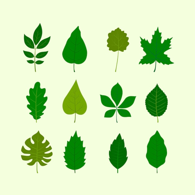 Flat design green leaves collection