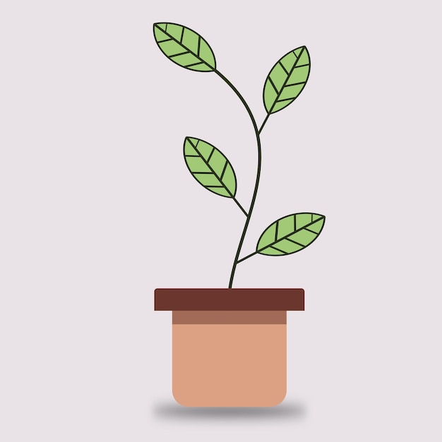 Vector flat design of green plants in pots for home decoration.