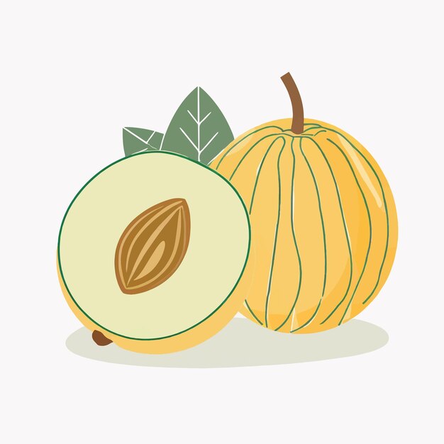 Vector flat design honeydew icon on a white background