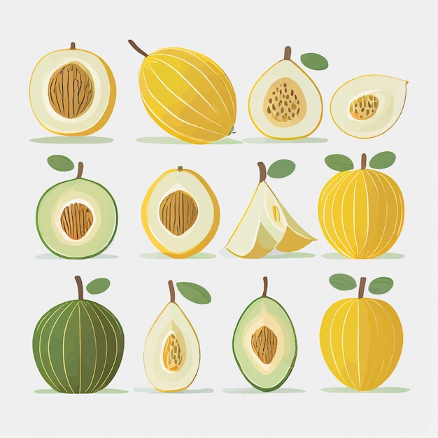 Vector flat design honeydew icons on a white background