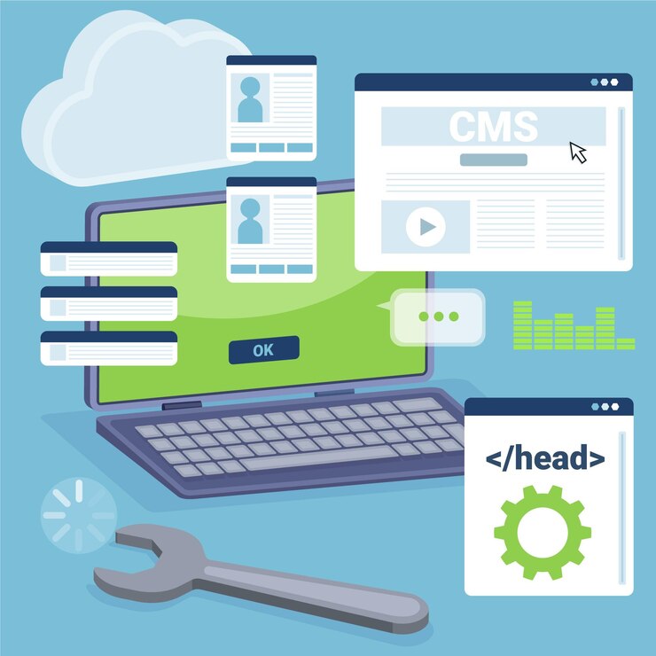Vector flat design illustrated cms laptop