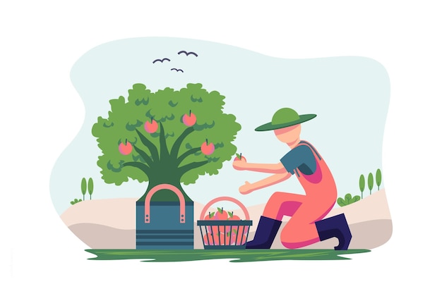 Vector flat design illustration of red shirt farmer and garden rural plant