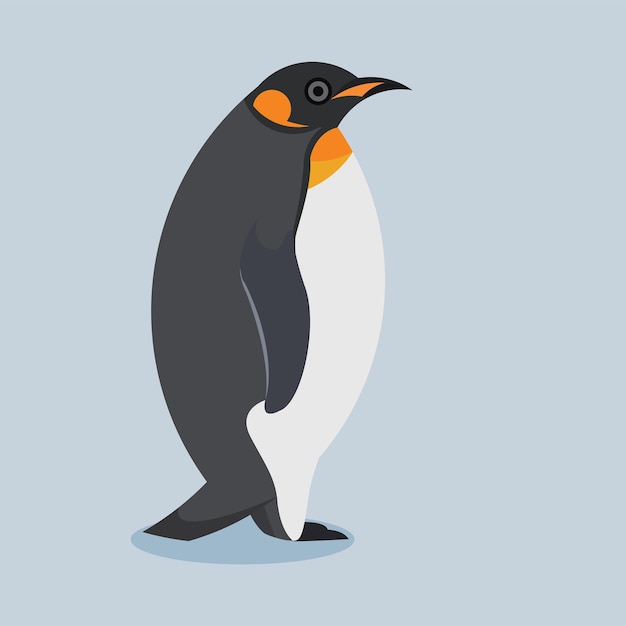 Vector flat design of king penguin on the ice