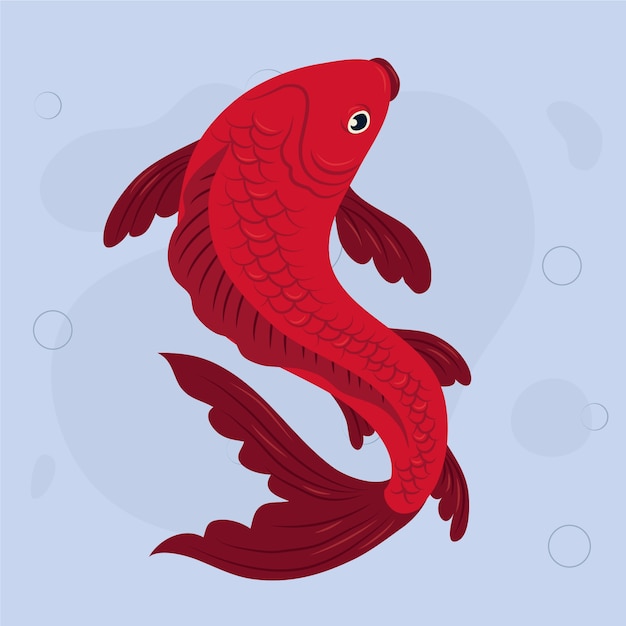 Vector flat design koi fish illustration