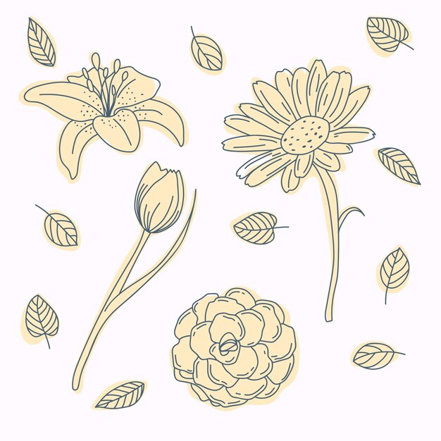 Flat design of linear flowers and leaves