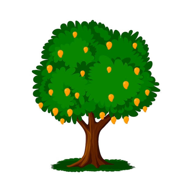Vector flat design mango tree with fruits