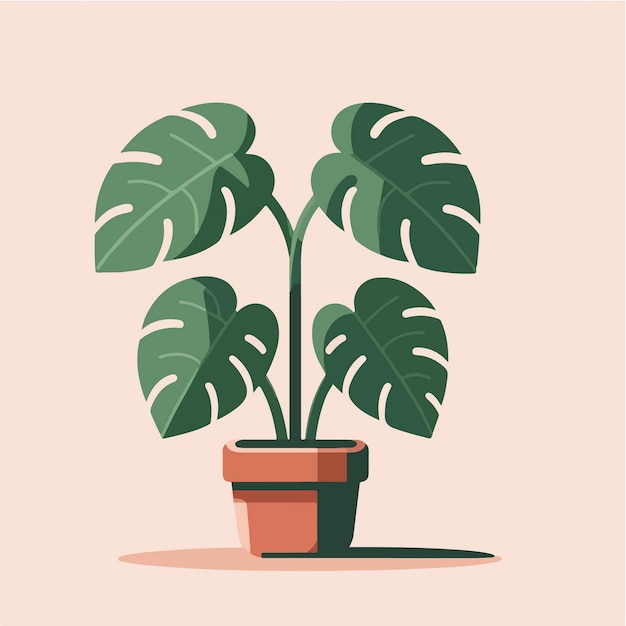 flat design of montserra leaf houseplant in a brown pot