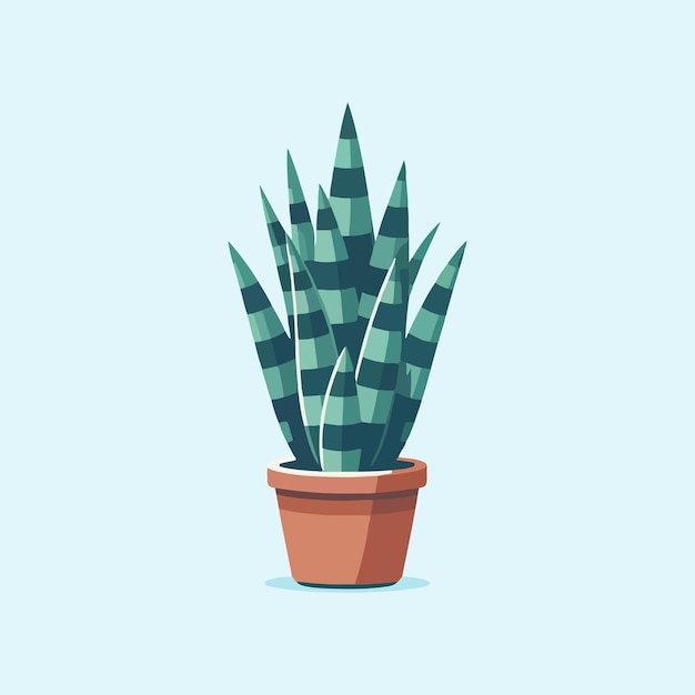 Плоская конструкция комнатного растения с листьями sansevieria trifasciata