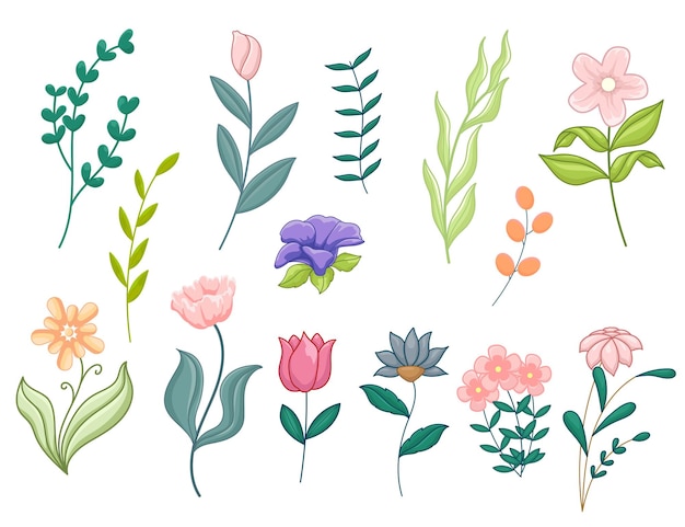 Flat design vector flowers and leaves isolated