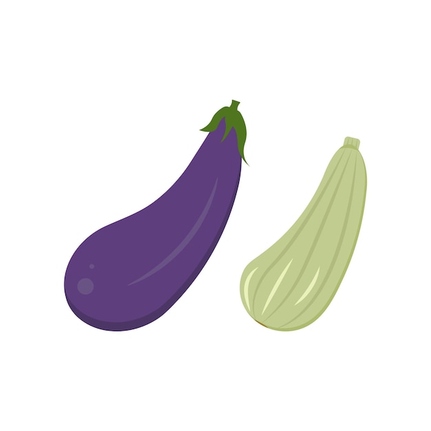 Flat design vector illustrations eggplant and zucchini isolated on white background